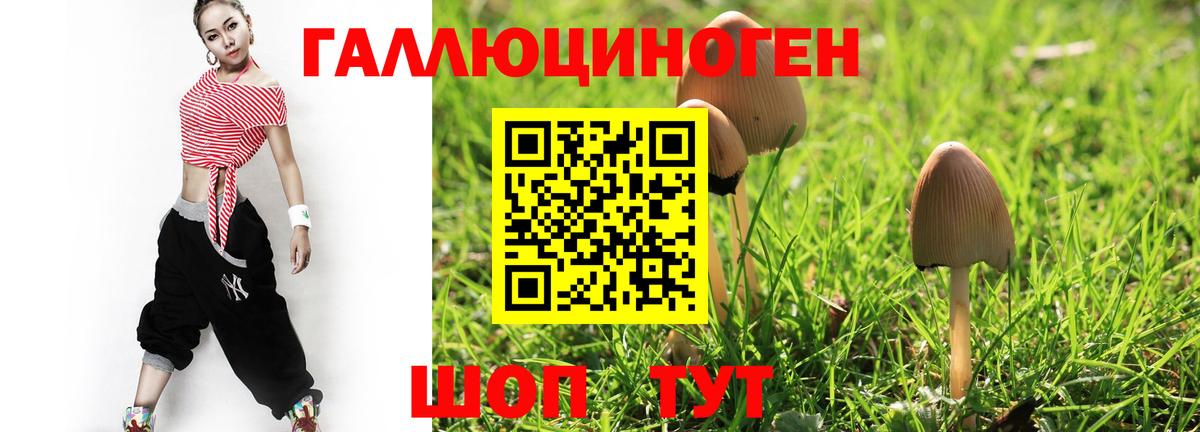 Псилоцибиновые грибы мухоморы  Псилоцибиновые грибы Psilocybine cubensis  Вход с VPN  Алексин 